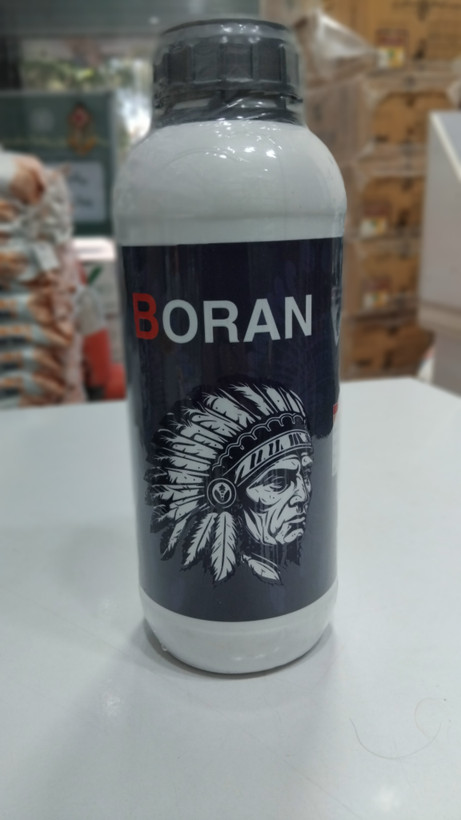 بوران آپاچی