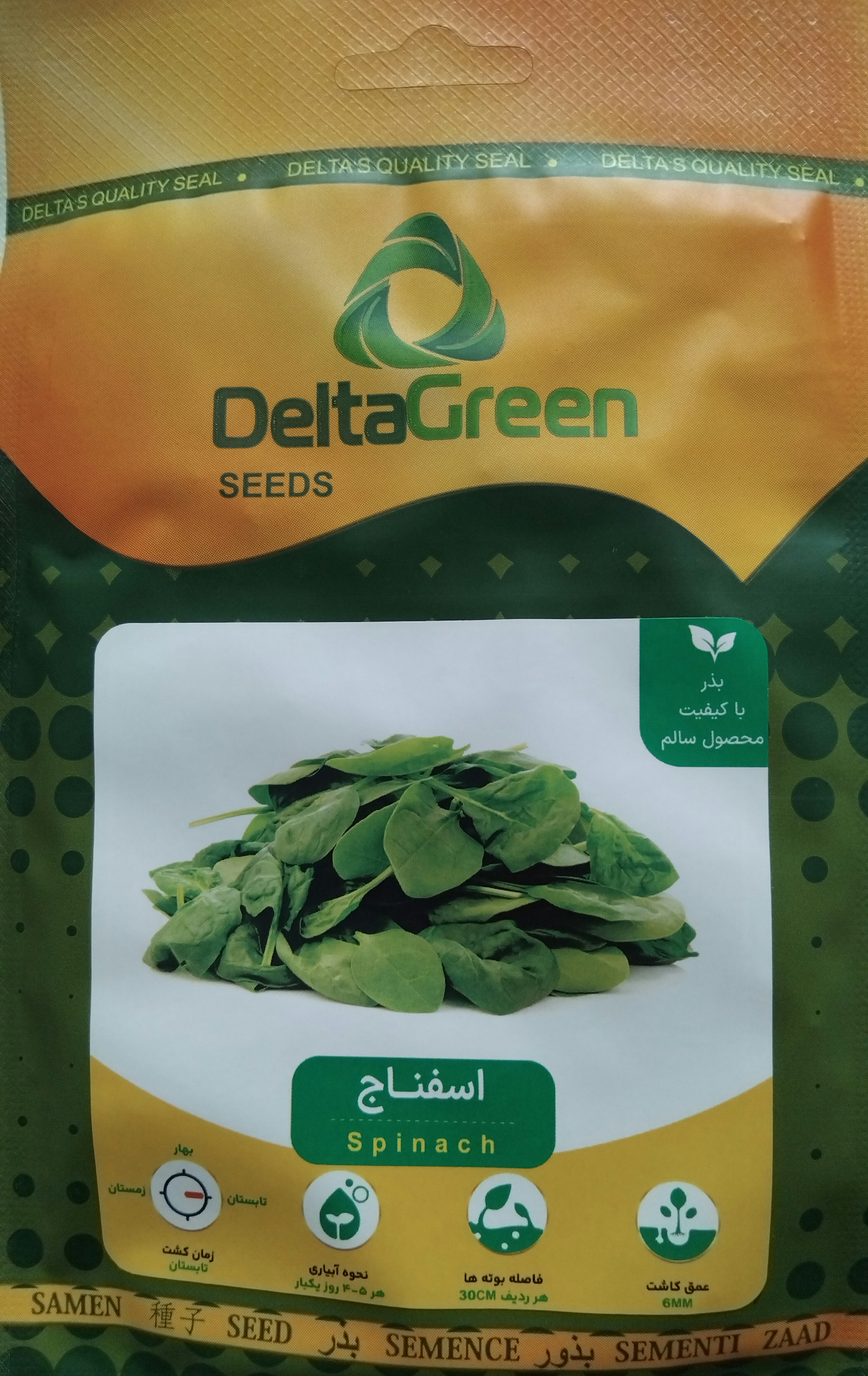 بذر سبزی اسفناج برند دلتاگرین